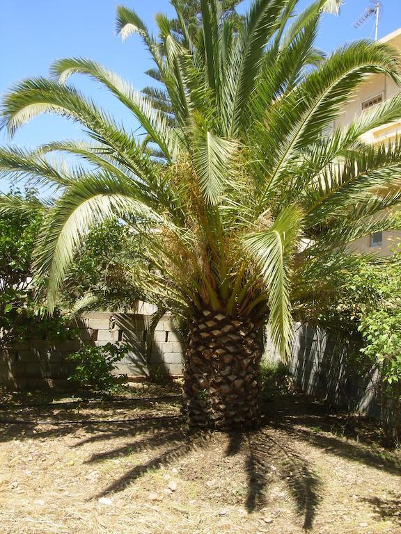 شقة Granny'S House باليكاسترون المظهر الخارجي الصورة