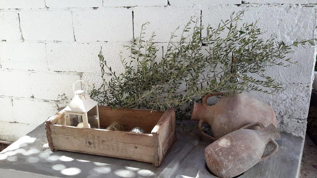 شقة Granny'S House باليكاسترون المظهر الخارجي الصورة